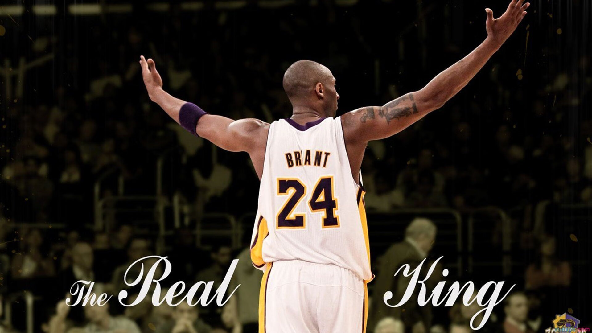 蒂姆关键节点势不可挡，勇士逆境重生！蒂姆统治关键时刻，勇士上演逆境重生