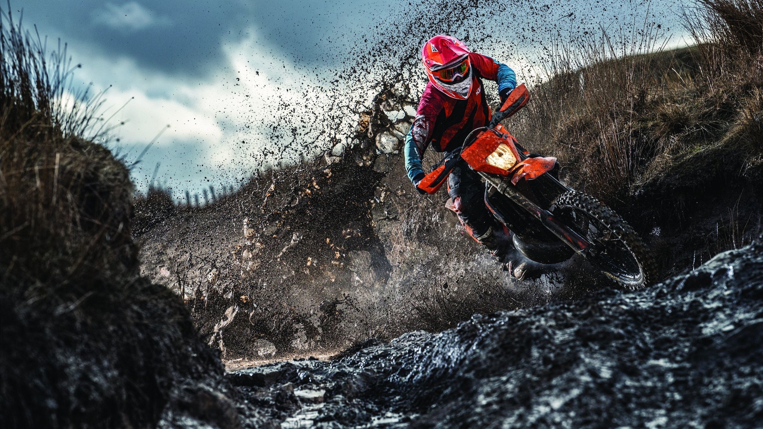 Ming新星破雾而出，扑朔赛况下的惊艳锋芒，瑞士队未来可期，破雾新星Ming惊艳赛场，瑞士队未来可期